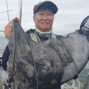클럽씨피싱 - 홍성군 남당항로264번길 53-1 | 클럽씨피싱