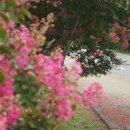 항몽유적지 이미지