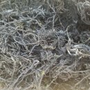 삼신상회 이미지