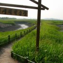 진덕사 석조약사불좌상 이미지