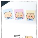 비사오르 이미지
