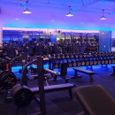 온리스포츠 이미지