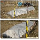 백현 농장 이미지