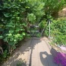 사파동191 이미지