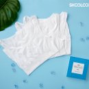 스쿨룩스 이데일리