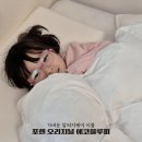 에코 | 알러지케어이불 포렌 오리지널 에코플루피 후기