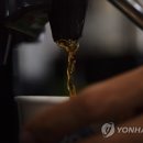 커피속