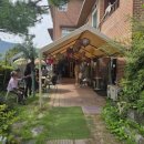 정다운 정육점 | [공주] 세종근교 10번 넘게 간 찐 베트남로컬 느낌 맛집 : 분반차정다운아지트