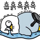 생각속의집 민트동 이미지