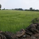 무릉2리마을회관 이미지