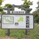 영월 무릉리 요선암 돌개구멍 이미지