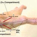 엄지세탁소 이미지