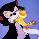 영등동-06 | 유월의 기록