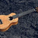 즐거운 우쿨렐레 이미지