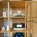 대백정육점 이미지