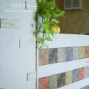 개언니네 이미지