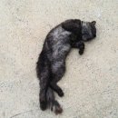 포산자동차공업사 이미지