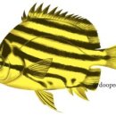 밀물식당 이미지