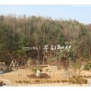 용문산 펜션 Daum카페