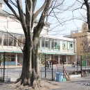 엄사유치원 이미지