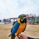 말무리농장 이미지