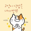 화랑합기도 이미지