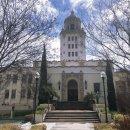 엔젤파머스 이미지