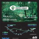 숲뒤지 서울신문