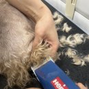 마이뷰티독 이미지