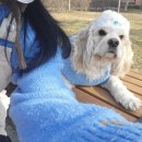 워시존(광산점) 이미지