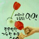 개인(용달)화물-20