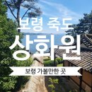 청춘-숲속의 섬, | 청춘MT 촬영지 보령 상화원 방문 후기 | 바다와 한옥이 어우러진 힐링 정원