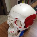 참힐링한의원 이미지