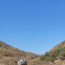 라온 태양광발전소 이미지