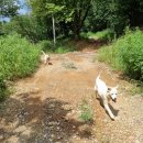 은영목장 이미지