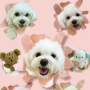 하률로12번길 이미지