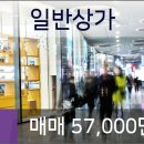 운정W동물병원 이미지