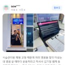 APEX GYM 네이버블로그