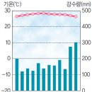 중등사회① Ⅱ-2 열대우림 지역 생활 (이미지,도표) 이미지