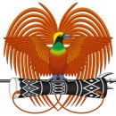 뉴태평양 이미지