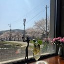 홍룡폭포(홍룡사) | 홍룡사 홍룡폭포 숨은명소 벚꽃길 가는 길 |빅스톤커피 방문