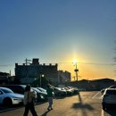 내유길 | 일산애견동반대형카페 피터펫츠 내유점, 전구역 오프리쉬 초대형 애견카페 후기