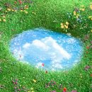 퍼피아일랜드 | 2025년 FTSODE ft아일랜드 콘서트 광운대 동해문화예술관 200대 시야