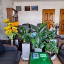 유일 공인중개사사무소 이미지