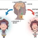 동호칼슘