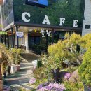 별헤는 몰랑 이미지