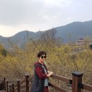 푸른솔모텔 이미지