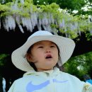 불무공원 이미지