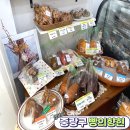 빵의향현 이미지