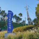 구절초 테마공원 제2주차장 네이버블로그